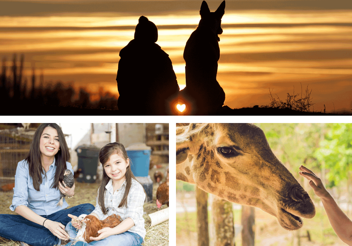 Human Animal Bond Association
